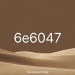 6e6047
